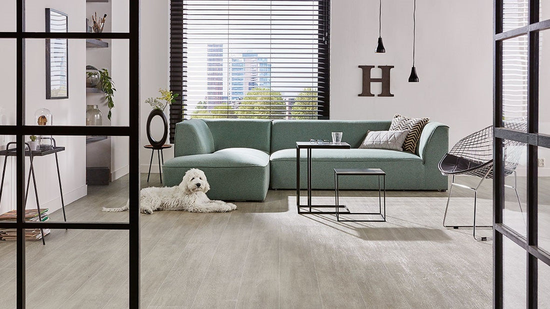 Best Flooring for Dogs